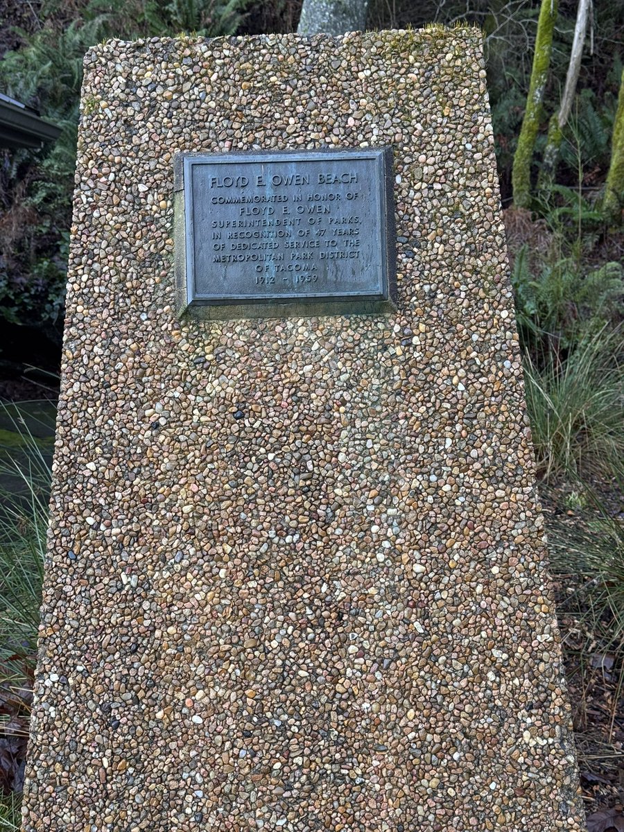 Silly Irish Monkeys tweet media