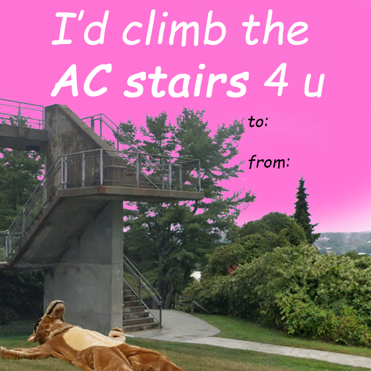 ConnCollege's tweet photo. โค๏ธ Happy Valentine's Day, Camels! โค๏ธ
#ConnColl https://t.co/h3jtMNyxvS