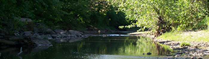 TimSweeney115's tweet photo. Want to know more about good things being done for the environment in the Kansas City metro? Listen to our Promoting Earth podcast here with our guest, the Executive Director of Bridging the Gap, Scott Wagner.

https://t.co/NZ0FmfbCy3 https://t.co/ec1qTAq9To