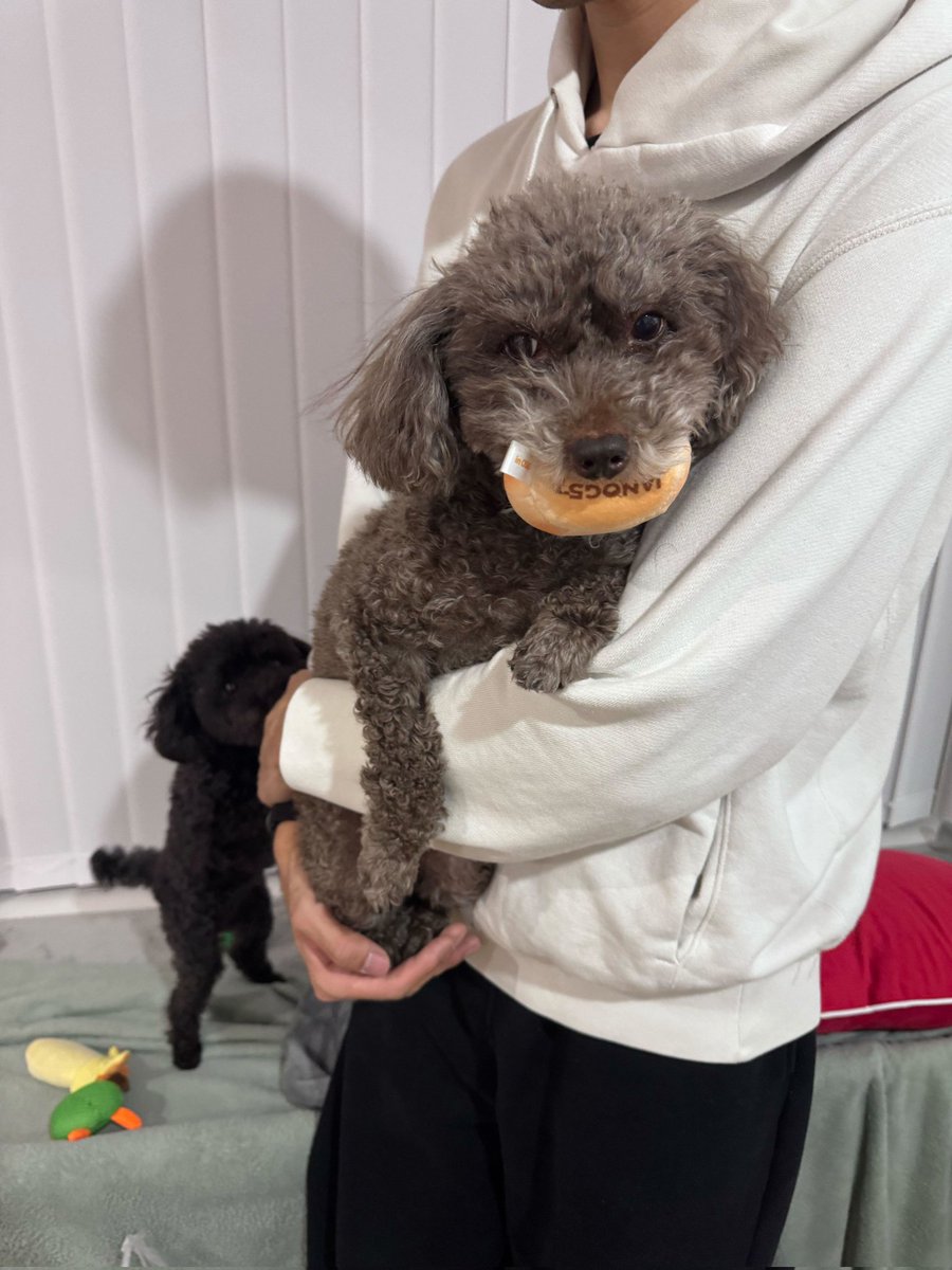 🐧かめねこ🐧 (@kameneko1004) / Posts / X