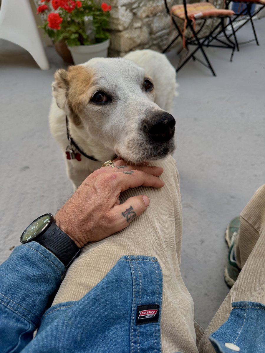 my valentino❣️

 (kinda gay ik)