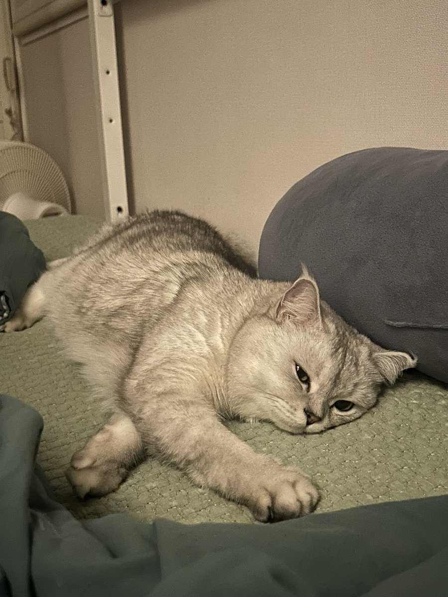 김광영 (@lun___atic) on Twitter photo 