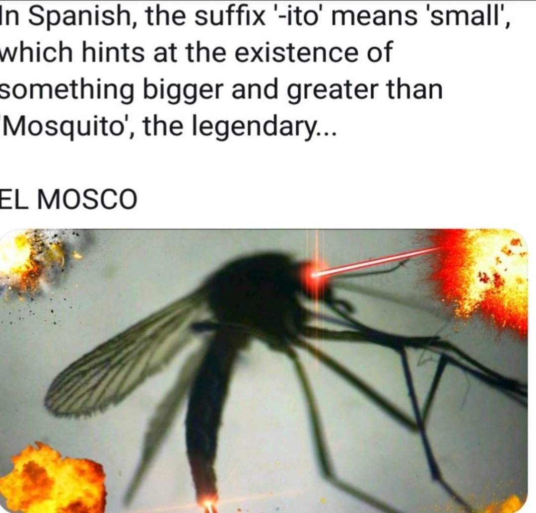 the ancient scripts spoke true