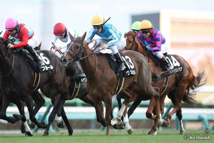 keibalab's tweet photo. 【大王は金の船に乗って】
レッドシーターフハンデ
芝3000m
日本時間 1:50発走予定
ヴェルミセル M.バルザローナ
シュトルーヴェ J.モレイラ
#レッドシーターフハンデ
https://t.co/HbEoH9vul0 https://t.co/JuW8V4VOkJ