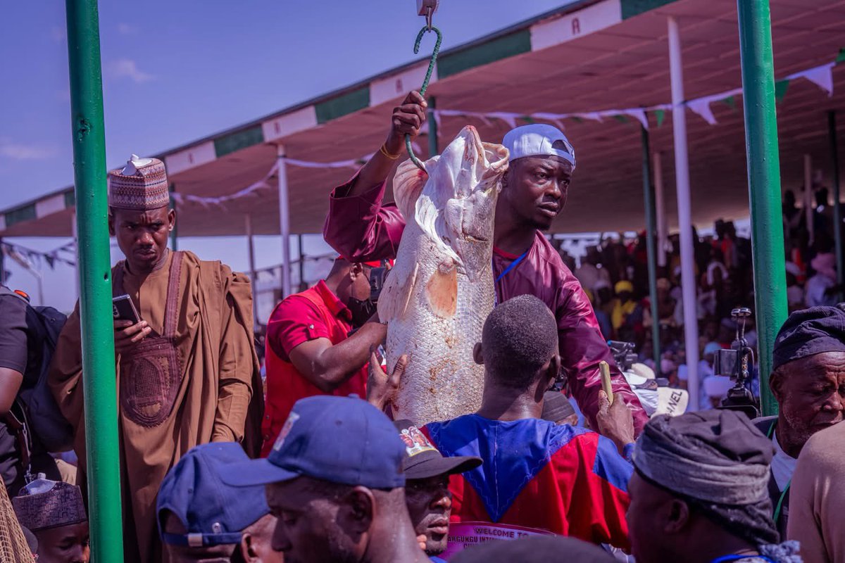 MUKHTASAR MALCOLM ALKALI tweet media