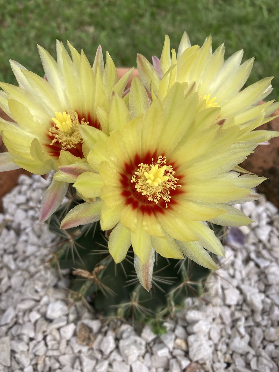 RealJota tweet media