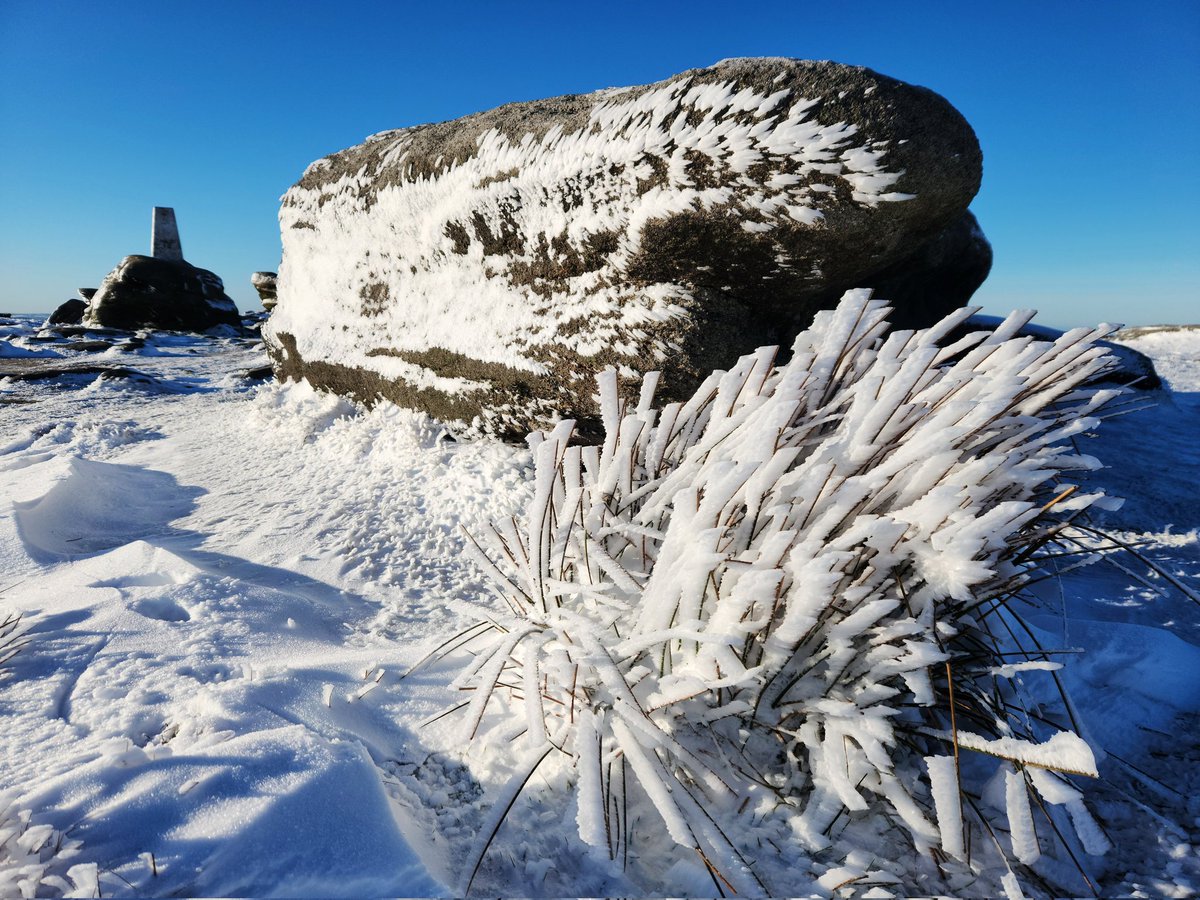 Robbledo tweet media