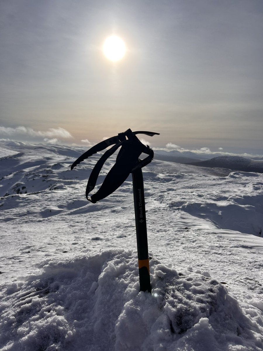 Libbylyle tweet media