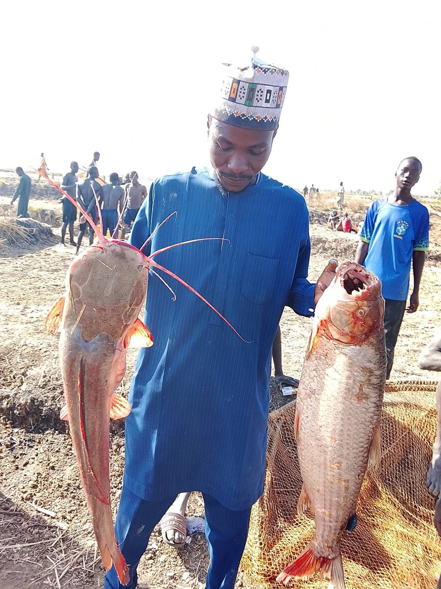 MalcolmAlkalee's tweet photo. With your 1k! You go chop fish for Kebbi

#ArgunguFishingFestival #KebbiCulture https://t.co/TyLTl8Jrm4
