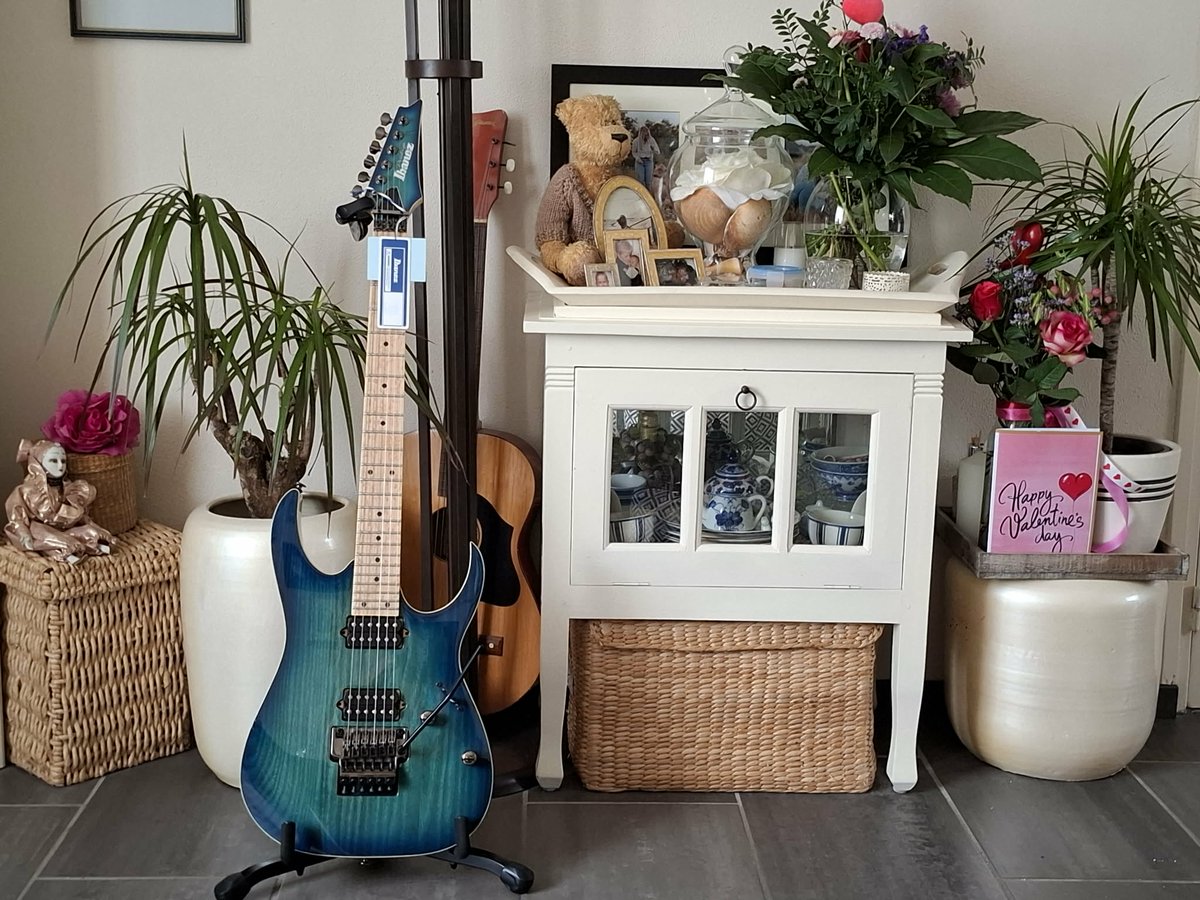 Well, this " Ibanez Prestige Nebula Green Burst Japanese Guitar " just arrived by courier today, what a Fantastic Valentine's Day Gift! Plays like a dream &amp; looks great. Need to find a name #M &amp; J.AK " Under The Tree of Life " Traviscal Algarve .PT (Some of U will know this)