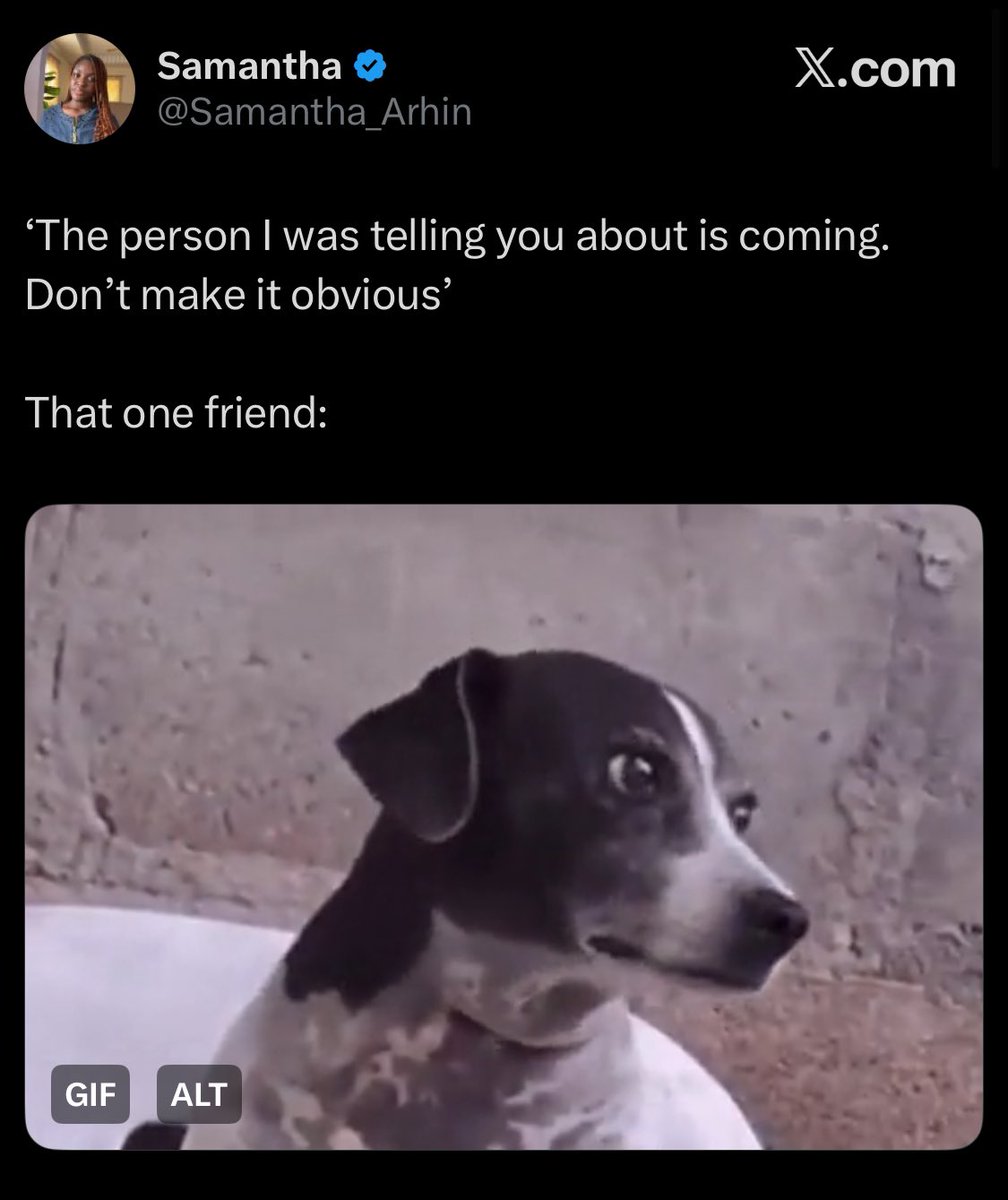 Alaba589's tweet image. A thread of funniest captions of the dog meme 🤣😂😂