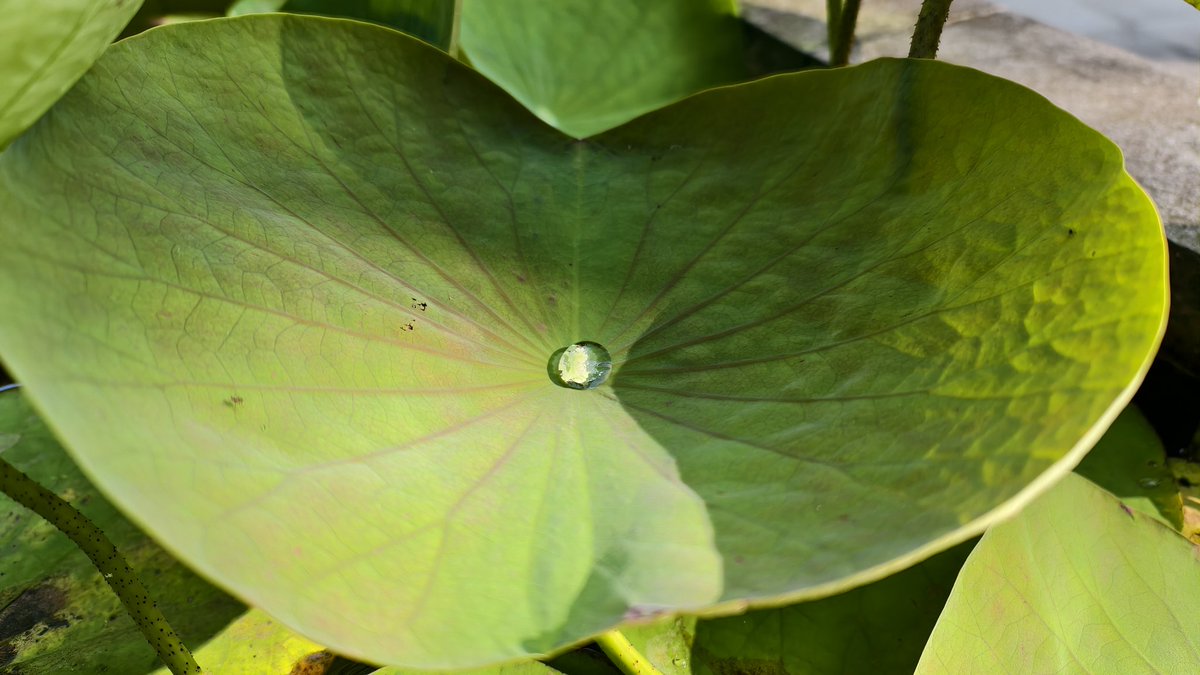 𝒜𝓃𝑔𝒾𝑒 tweet media