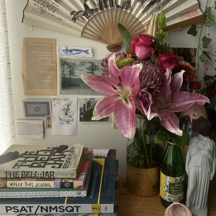 wrdsix's tweet photo. ｡ﾟ･  ✵ livros lidos em 2026 ✵  ･ ﾟ｡
                          ↳ a thread https://t.co/QGjo6oVLTy