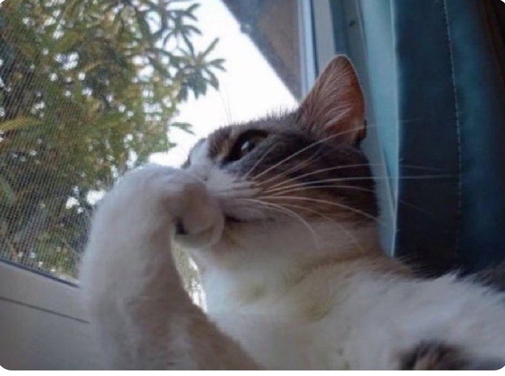 Ama-vera(Ugochukwu Chiamaka) tweet media