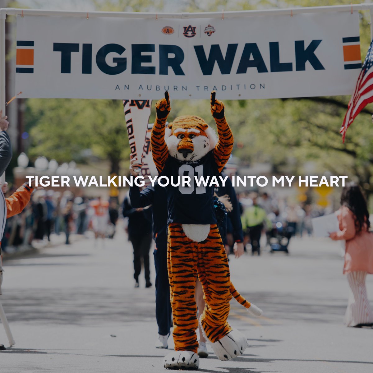 Auburn Tigers tweet media