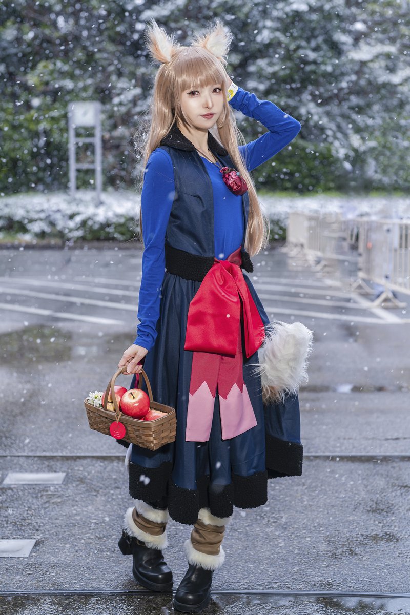 WFの想い出✑ 狼と香辛料 / ホロ 🍎