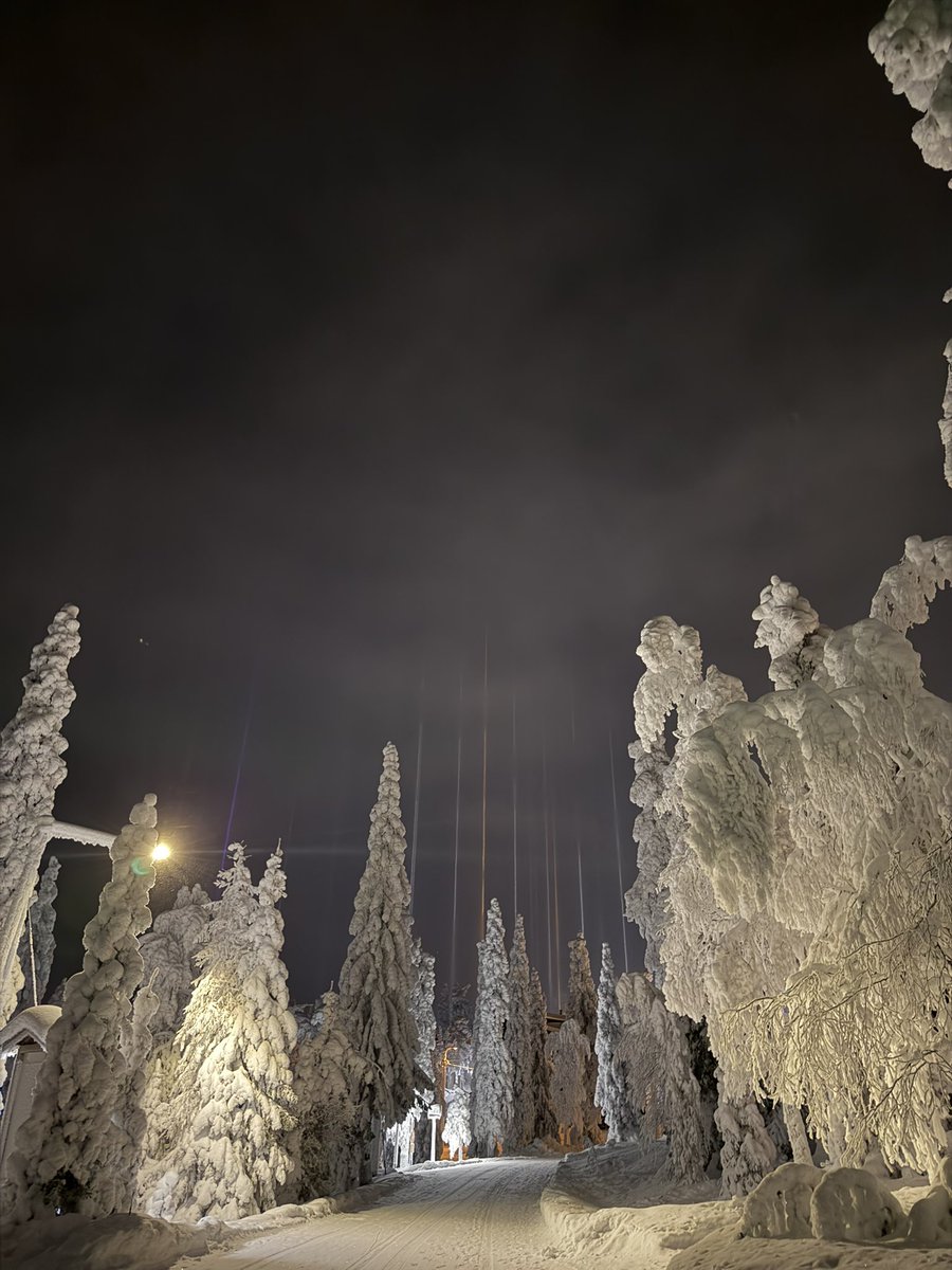 graaaaacy's tweet photo. หนาวจนมี light pillars ไปเลย https://t.co/XnsSLX5wHK