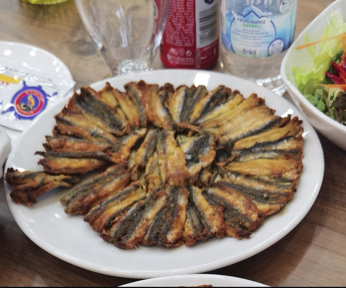 Tebrikler bizim takim 💛💙 <a href="/Fenerbahce/">Fenerbahçe SK</a>