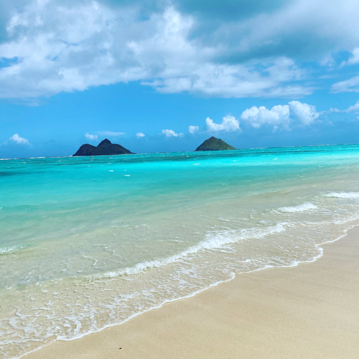 Haglund_Group tweet media