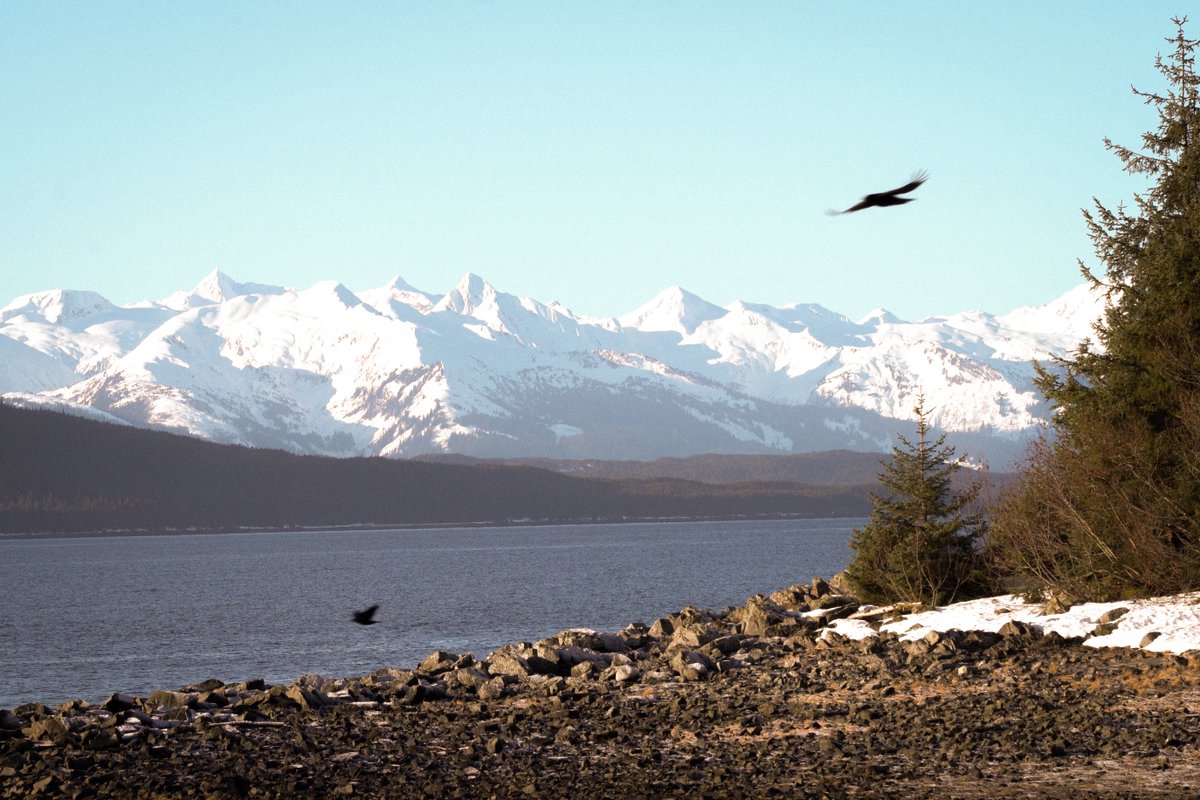 MaryPeltola's tweet image. I love you, Alaska ❤️