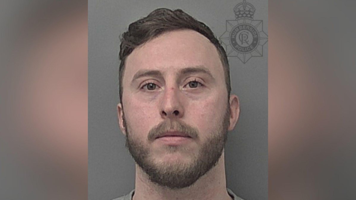 Danielle Proto tweet media