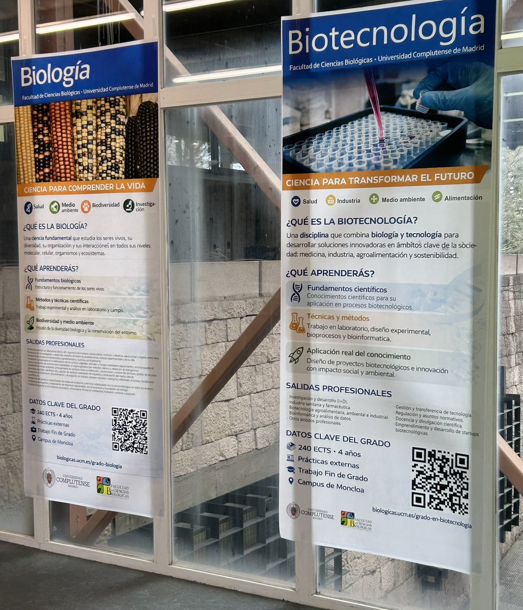 Jesus Perez Gil tweet media