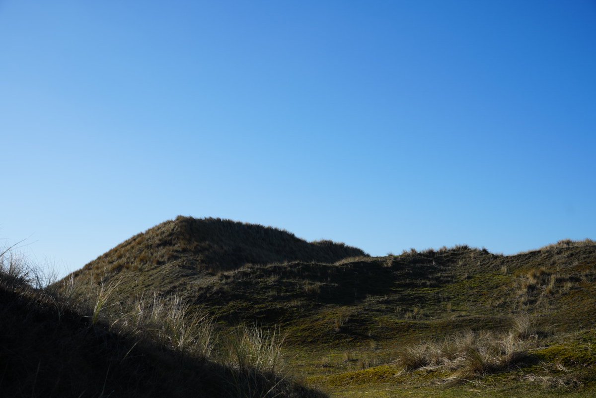 dezeekust's tweet photo. Voorjaarszon in februari... 

#dezeekust #voorjaar https://t.co/DgJRMrTPFH