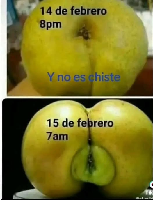 Chiqui Mafia tweet media