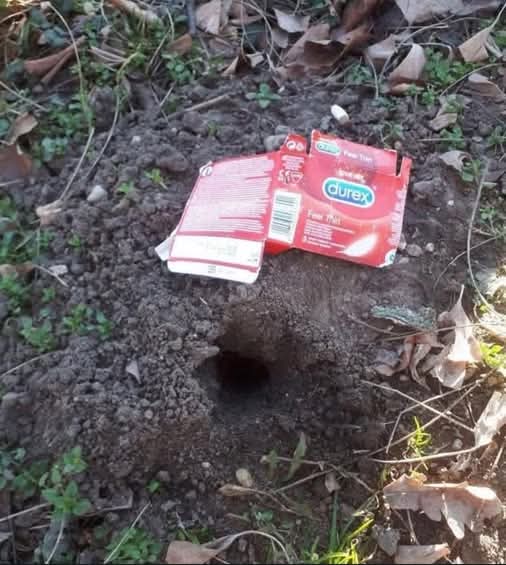 Messieurs quand on vous dit d'aimer la Terre n'allez pas trop loin non plus !!😉😂🤣