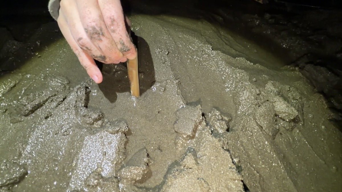 じゅえりー tweet media