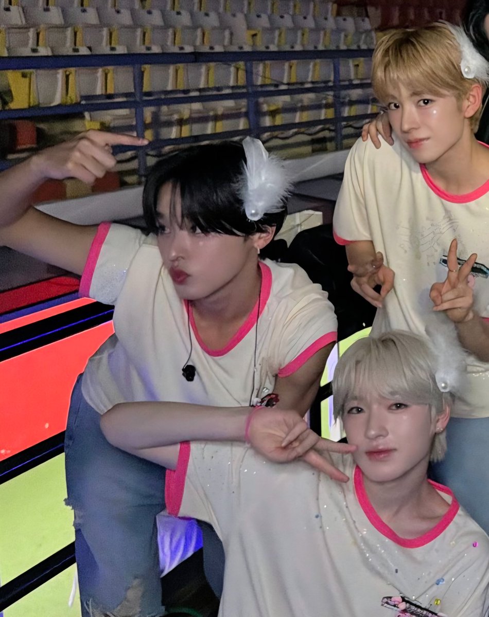 삼쿠가 또 붙어있네 ଘ( ˊωˋ )ଓ