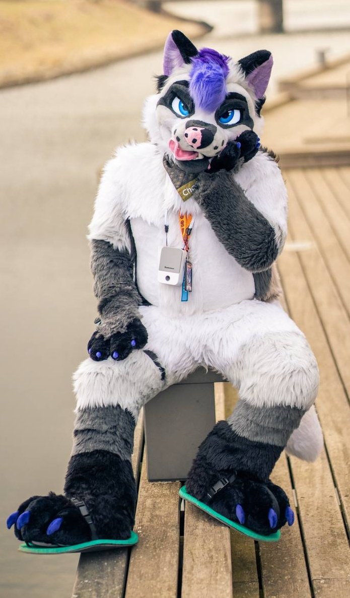 ChaChaFox - WhatChaLookingAt ? 🔜NFC,Faun,Furizon tweet media