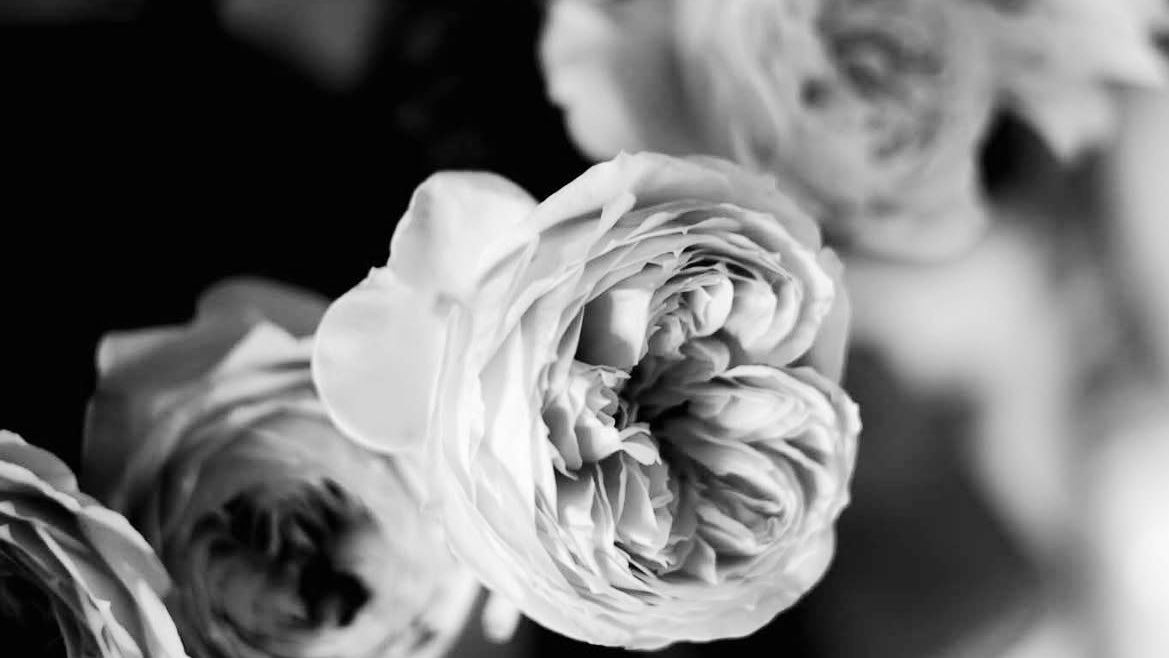 Theodore Nott tweet media