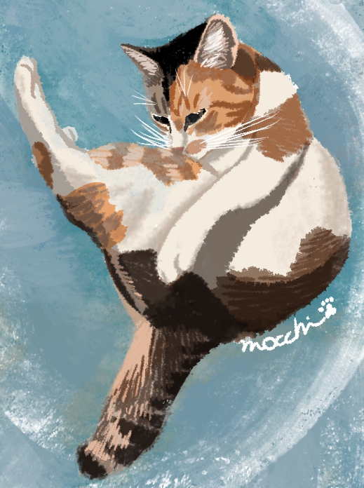 もっち（mocchi） (@mocchimocchi09) / Posts / X