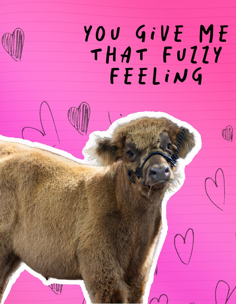 Iowa State Fair tweet media