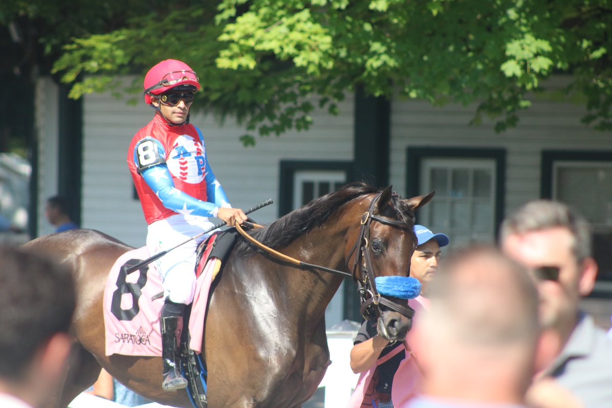 America’s Pastime Stables tweet media