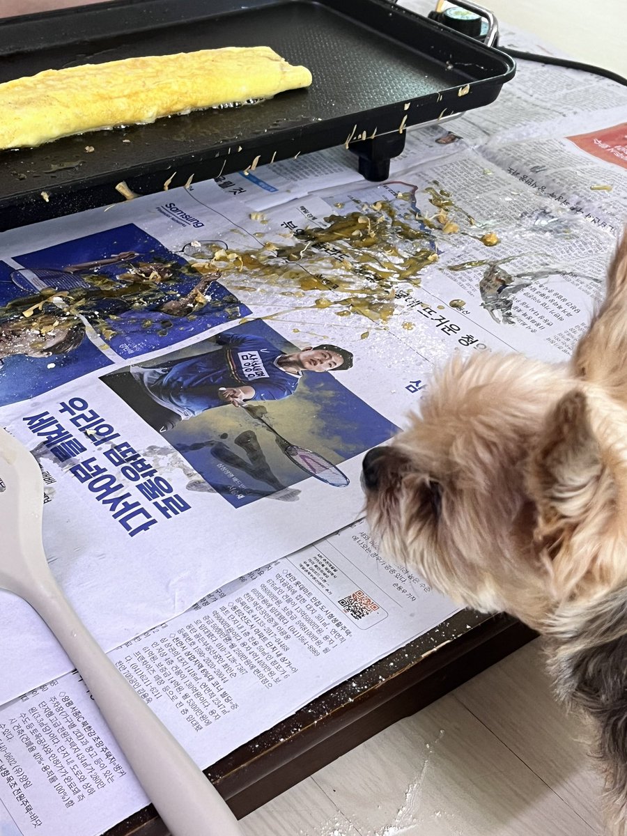 저계란이 내 계란이었어야해