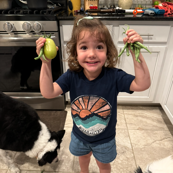 HOLT Group tweet media