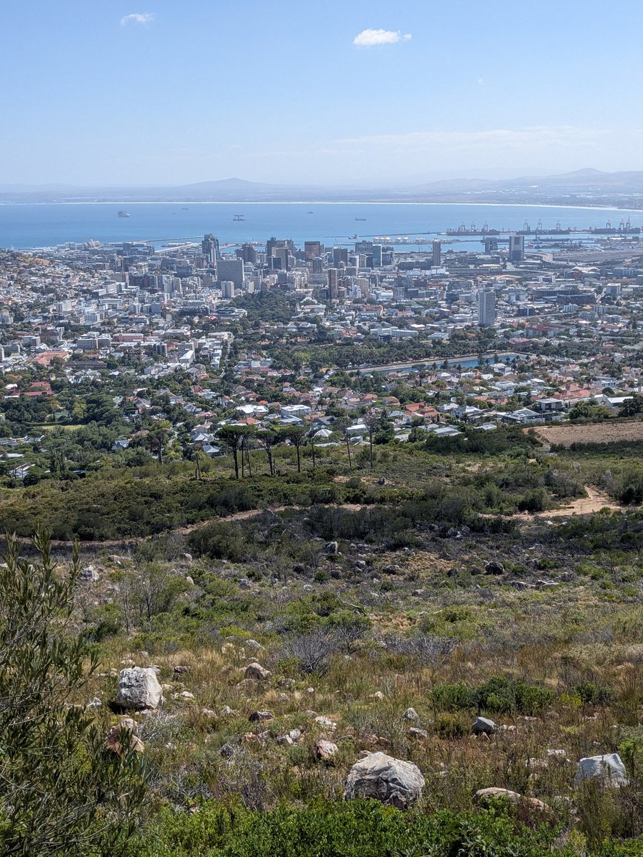 Neil Hobbs tweet media