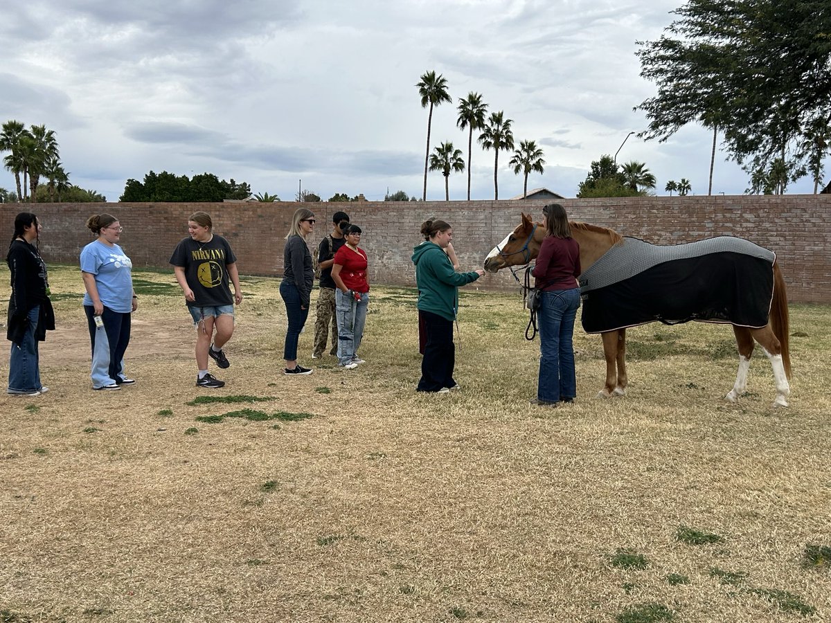 Gilbert High School tweet media