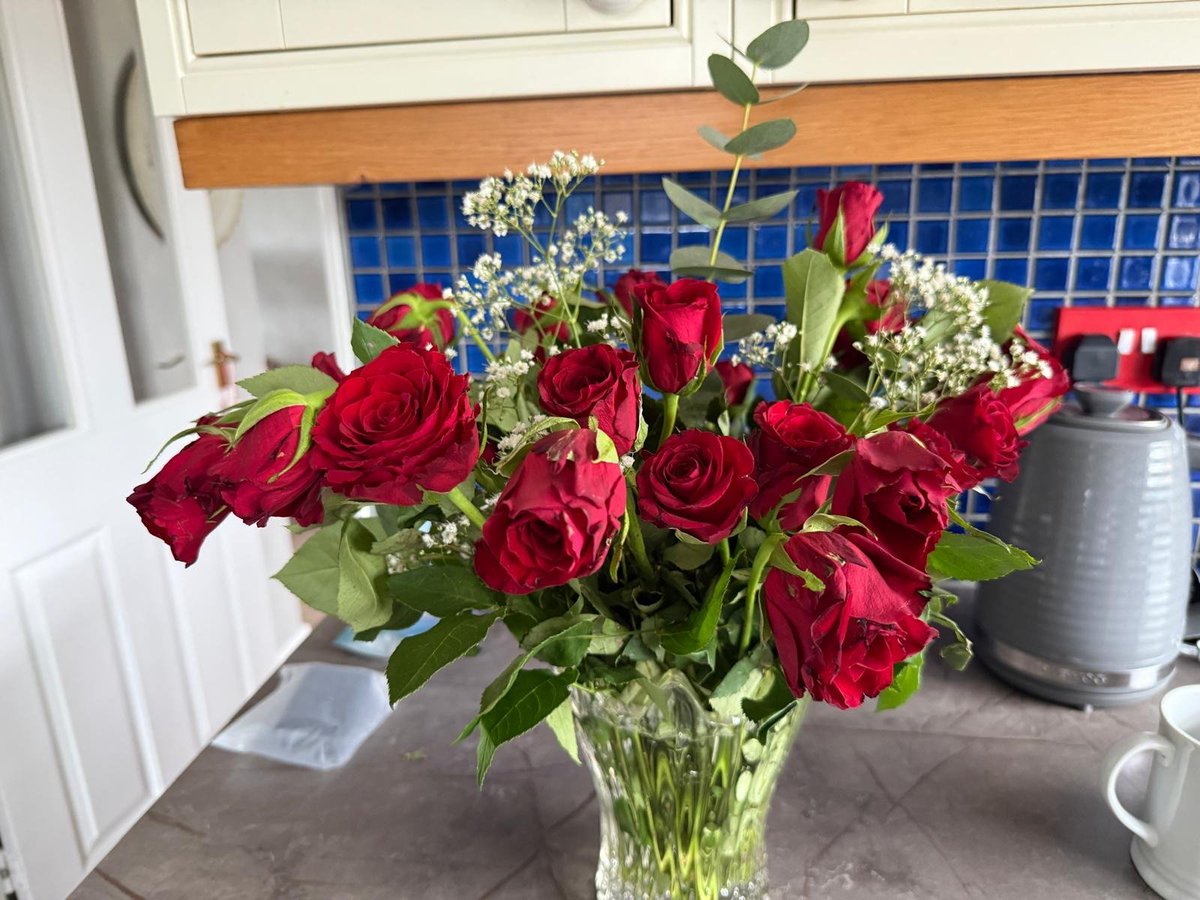 Cat Lady Fella 🇺🇸🇺🇦🇬🇧🏴󠁧󠁢󠁷󠁬󠁳󠁿🇮🇱🦩🐈 tweet media