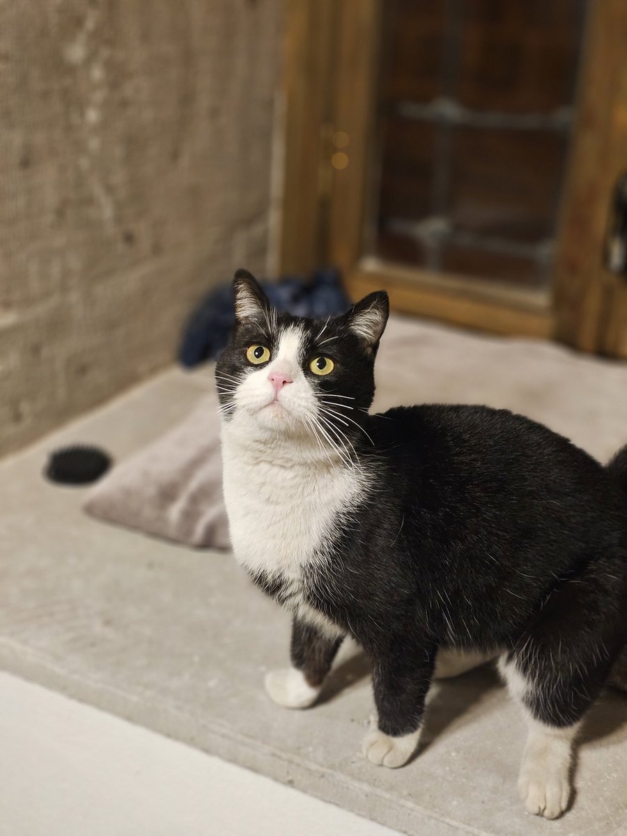 Ailenin yeni üyesi Safinaz 🤗