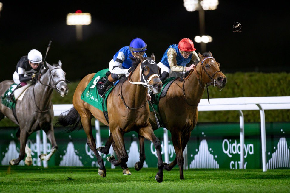 مباري الخيل tweet media