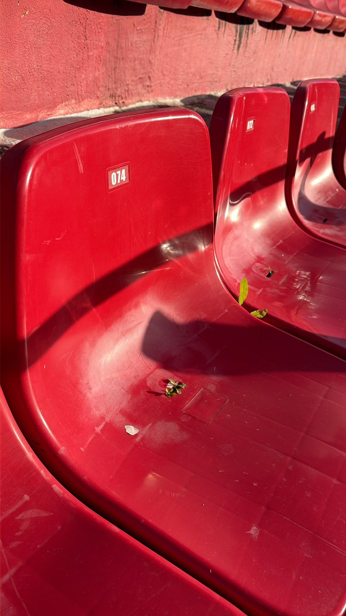 El Sevillismo ¹⁰ tweet media