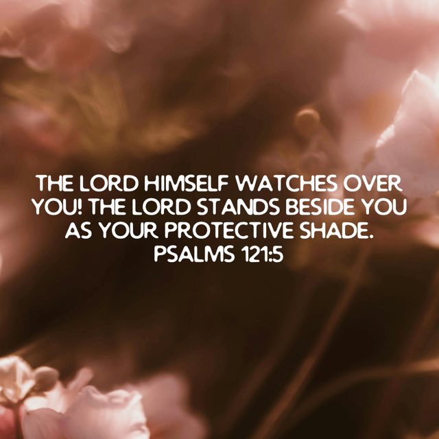 BTHwithPST's tweet photo. “The Lord himself watches over you! The Lord stands beside you as your protective shade.”
Psalms 121:5 NLT https://t.co/kvZRwZVlbp
