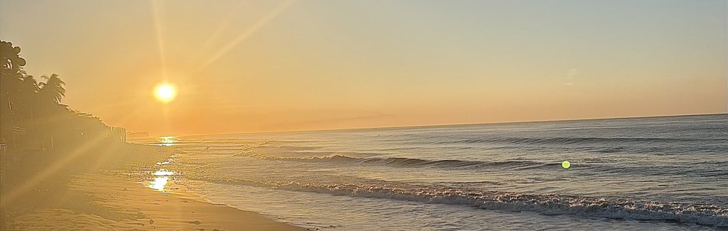 Shea Stickel tweet media