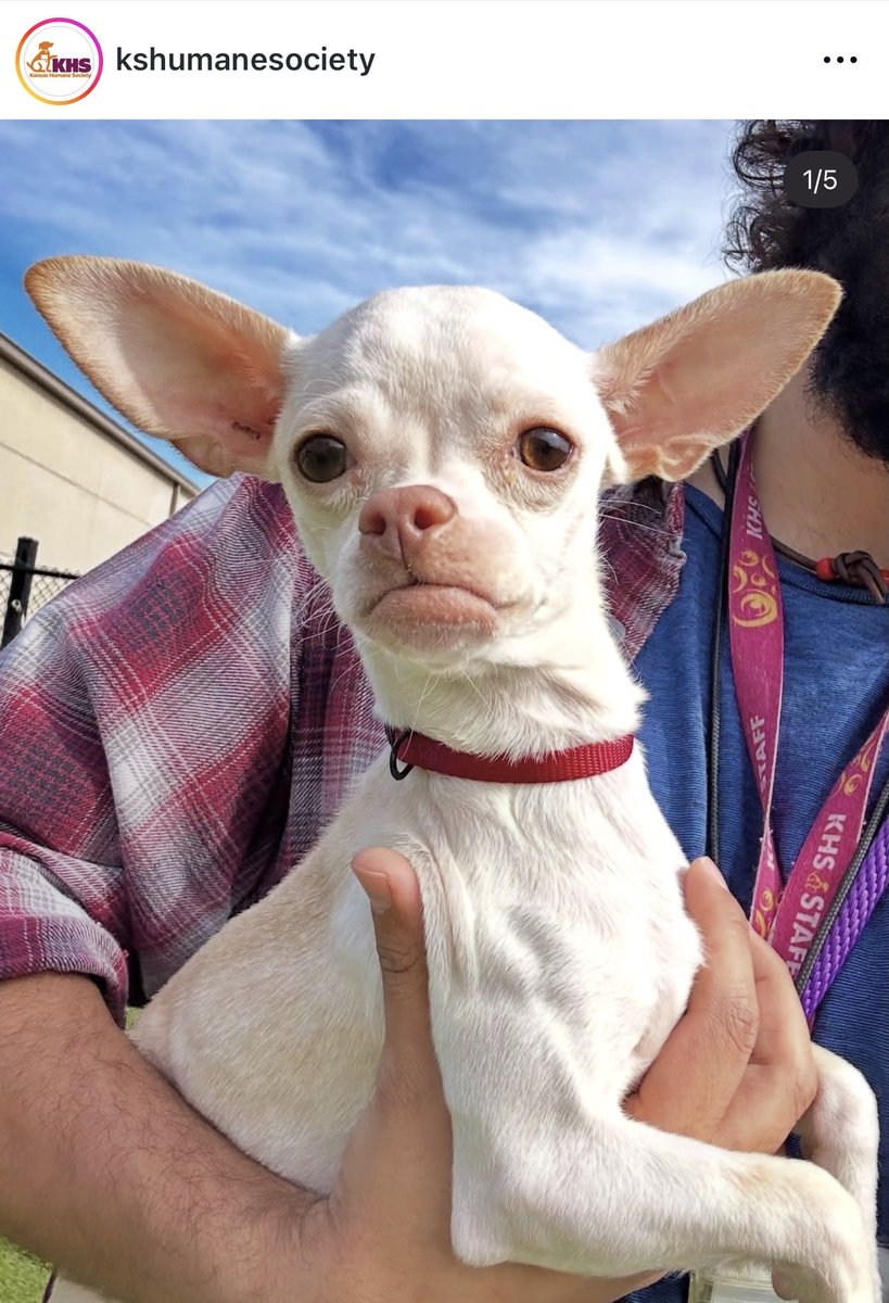 Jessica Hadwin tweet media