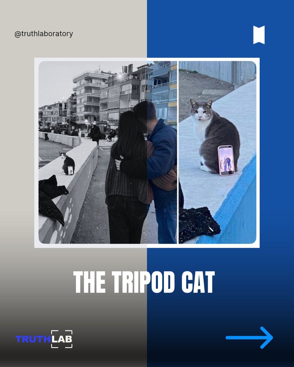 TruthLab tweet media