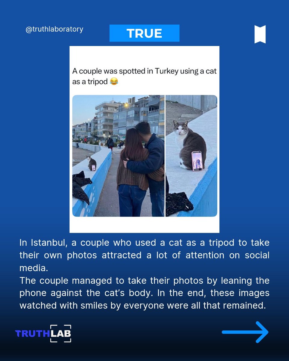 TruthLab tweet media