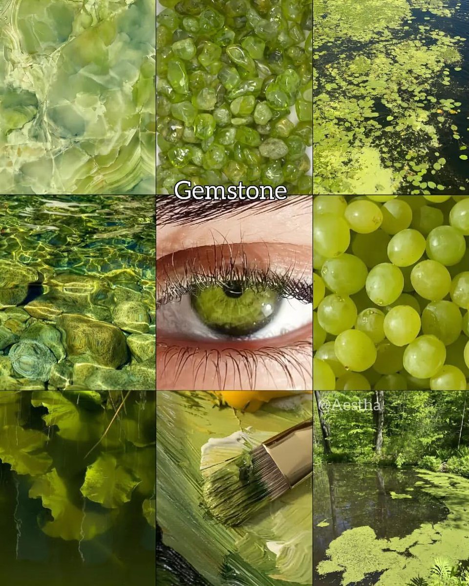 aestheticwabi's tweet image. Which is your favorite?